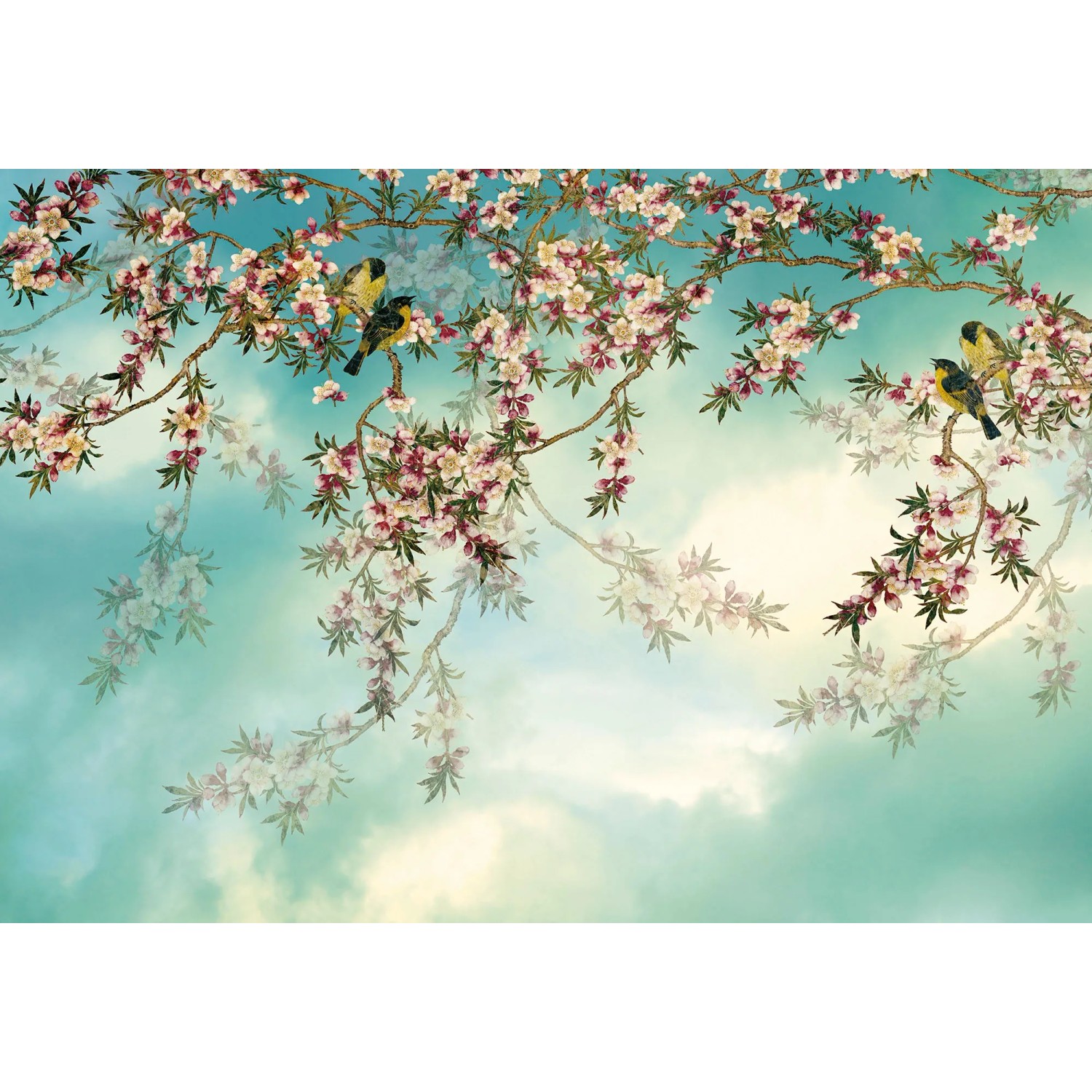 E-shop Komar Papierová fototapeta Sakura 368 x 254 cm