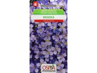 Aros Semienka Tarička záhradná, modrá (Aubrieta hybrida)