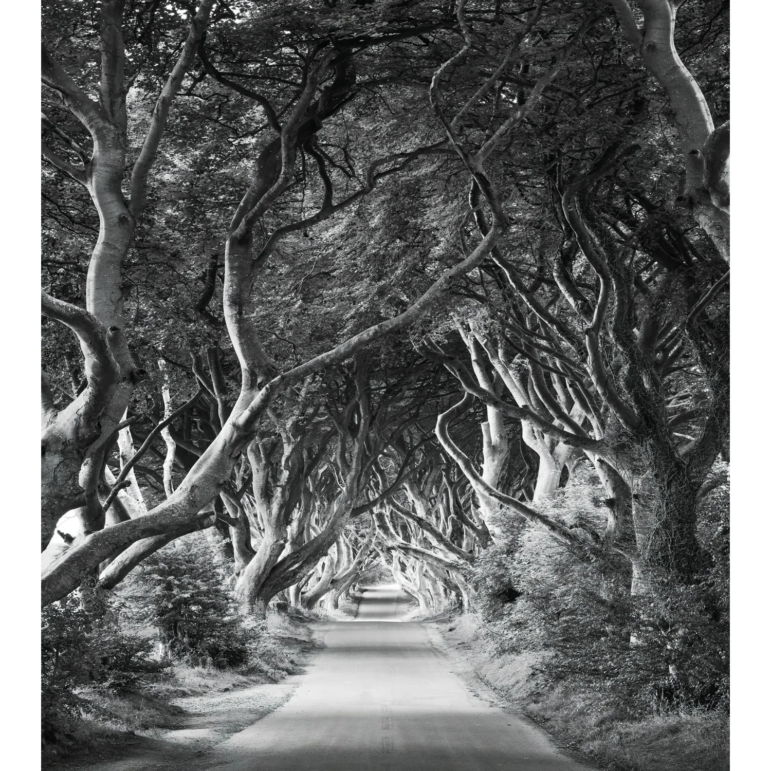 E-shop Komar Vliesová fototapeta Forevenue 250 x 280 cm