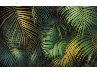 Komar Samolepiace vliesové fototapety Amazon Fern 400 x 250 cm