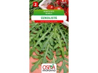 Semienka Rukola úzkolistá (Eruca vesicaria ssp. sativa)