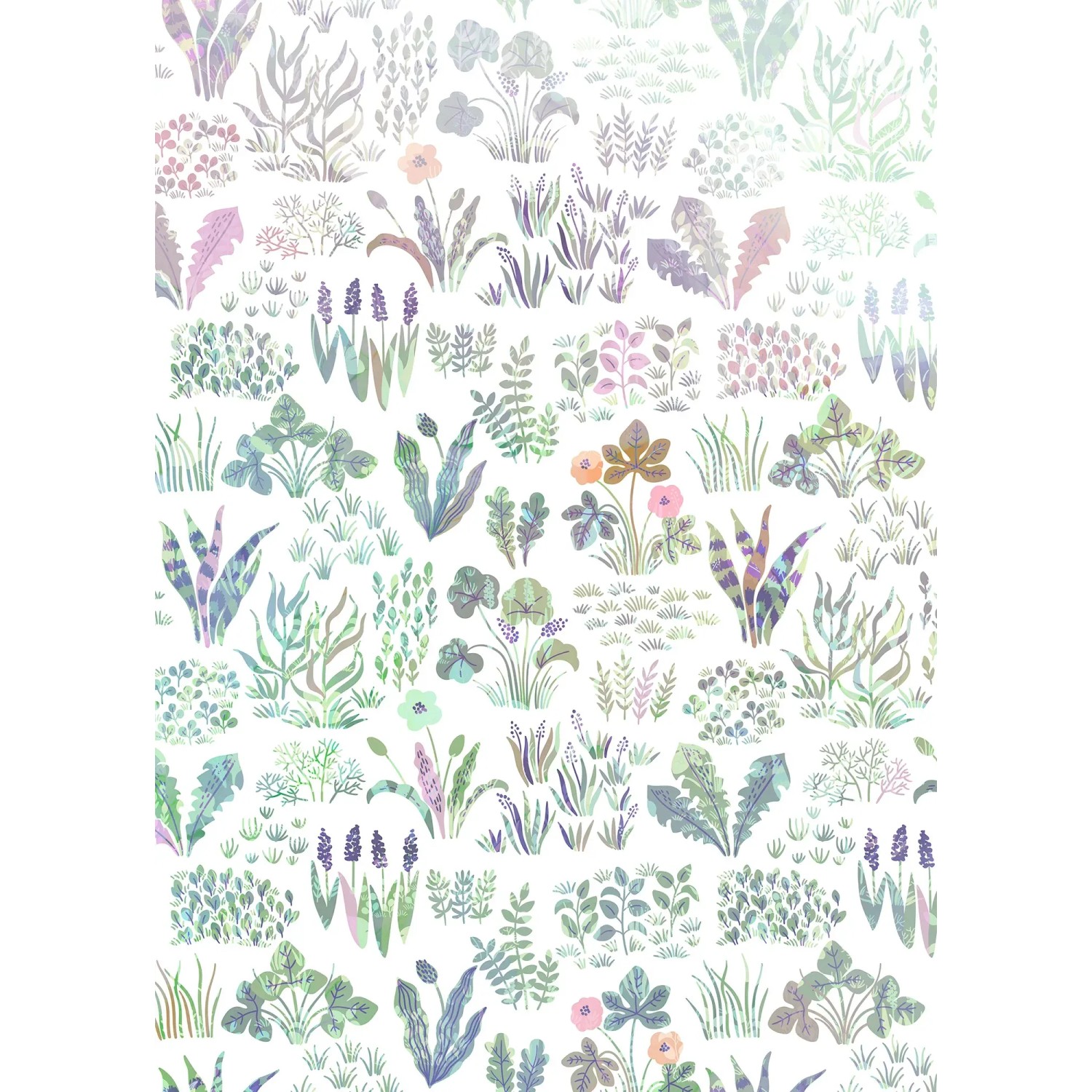 E-shop Komar Vliesová fototapeta Flower Farm 200 x 280 cm