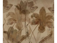 Komar Vliesová fototapeta Petal Whispers 250 x 300 cm