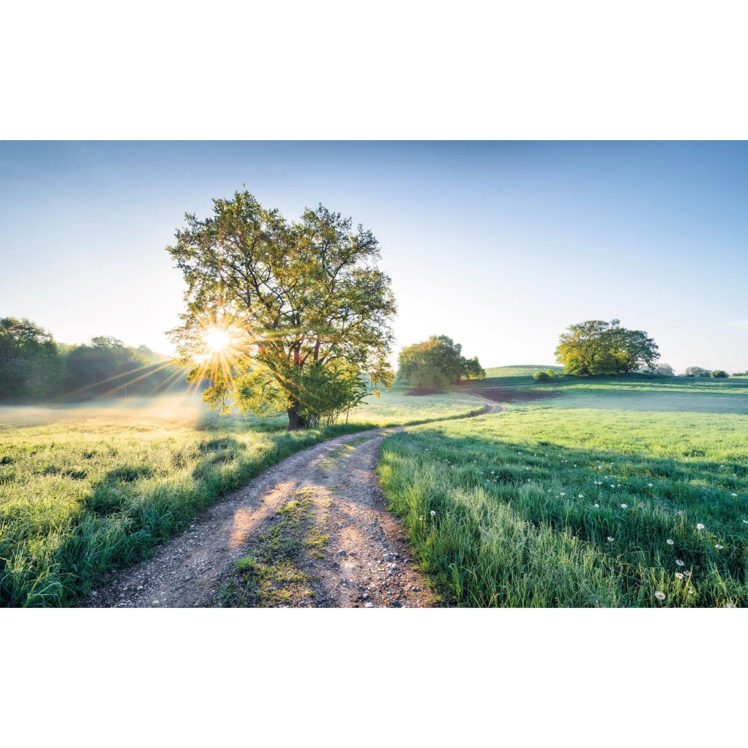 E-shop Komar Vliesová fototapeta A New Day in Paradise 400 x 250 cm
