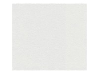 A. S. Creation Pretierateľná vliesová tapeta Meistervlies Creativ biela 311023