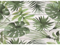 Crearreda Samolepiaci kuchynský panel 67283 prírodný motív, 470 x 650 mm