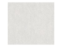 A. S. Creation Pretierateľná vliesová tapeta Meistervlies Creativ biela 167613