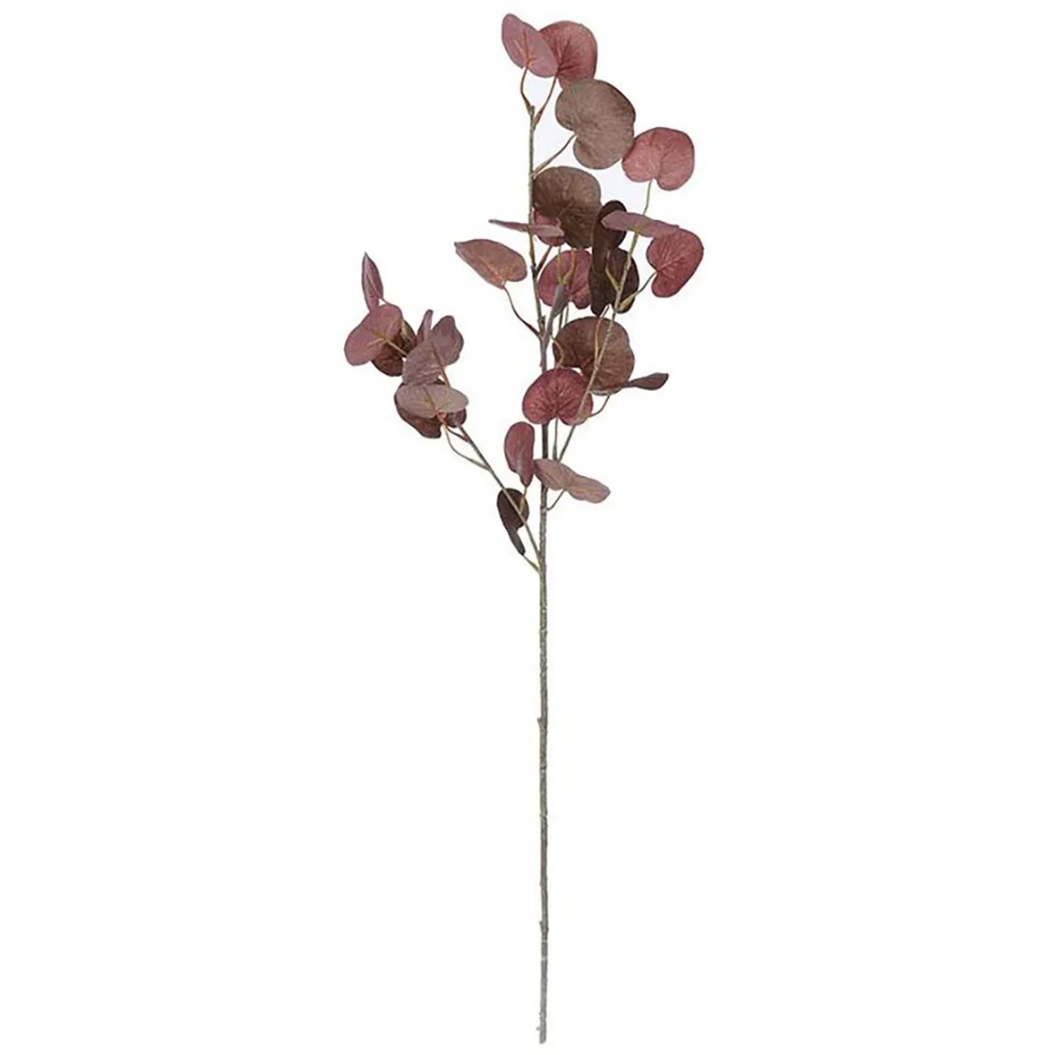 E-shop Flower Power Umelá vetvička eukalyptu, hnedá, 72 cm