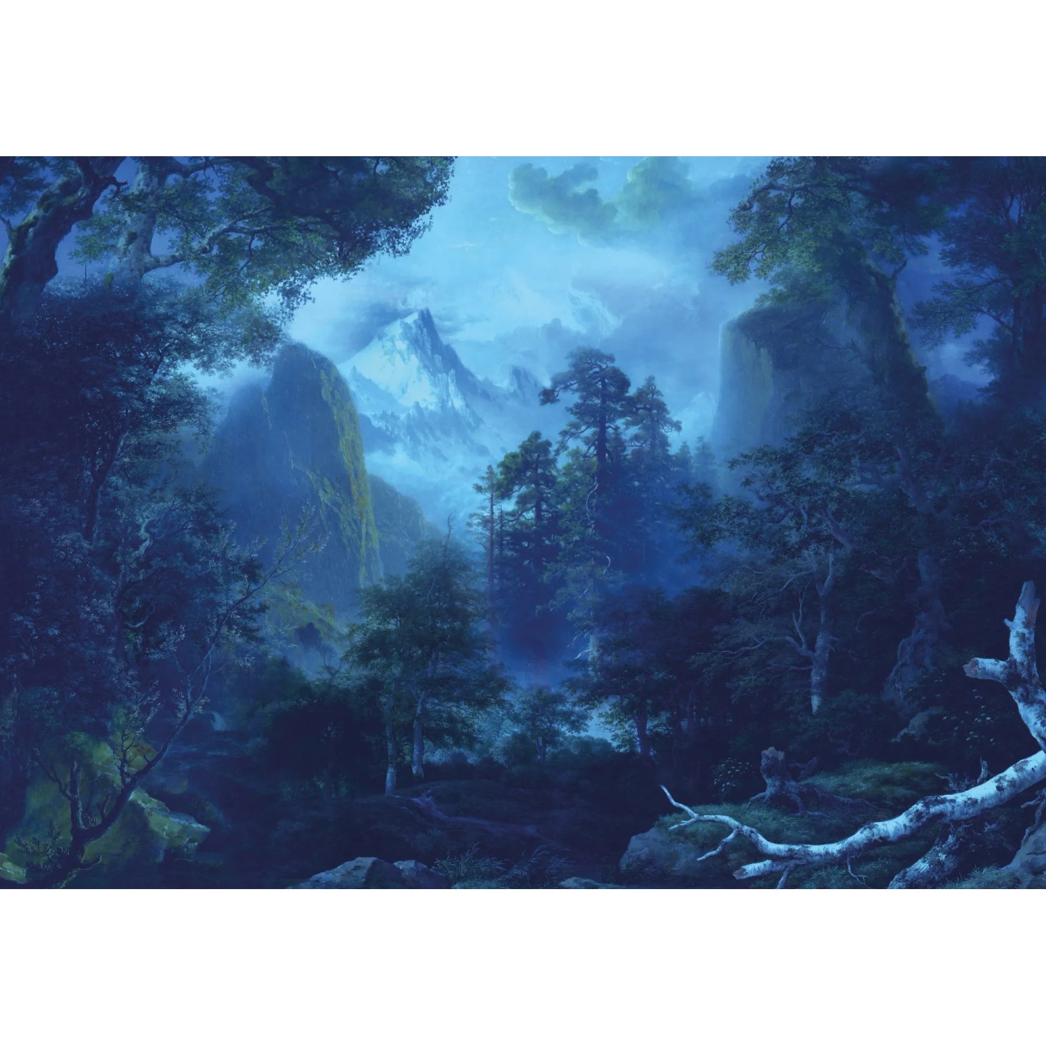 E-shop Komar Vliesová fototapeta Midnight 400 x 280 cm