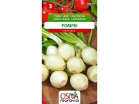 Semienka Cibuľa jarná lahôdková Pompei (Allium cepa L.)
