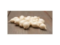 GardenSeed Premium Cibuľa sadzačka Snowball 500 g