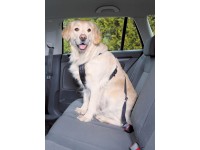 Jollypaw Postroj do auta M 50 - 70 cm