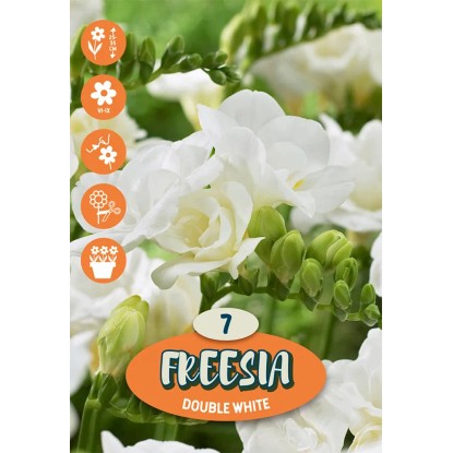 Zmes plná frézií biela