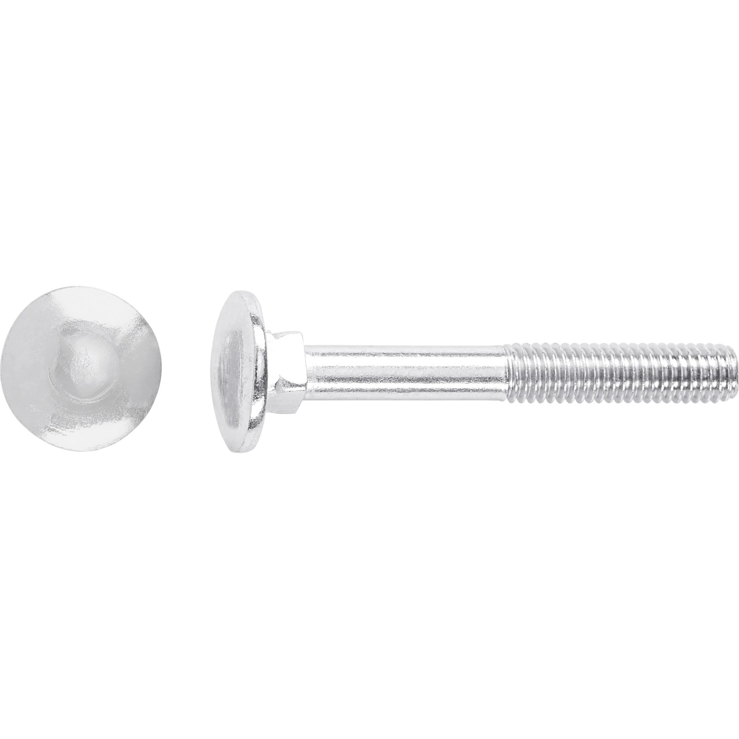 E-shop Vrátová skrutka M8 x 30 mm čiastočný závit bielo pozinkovaný, 50 ks