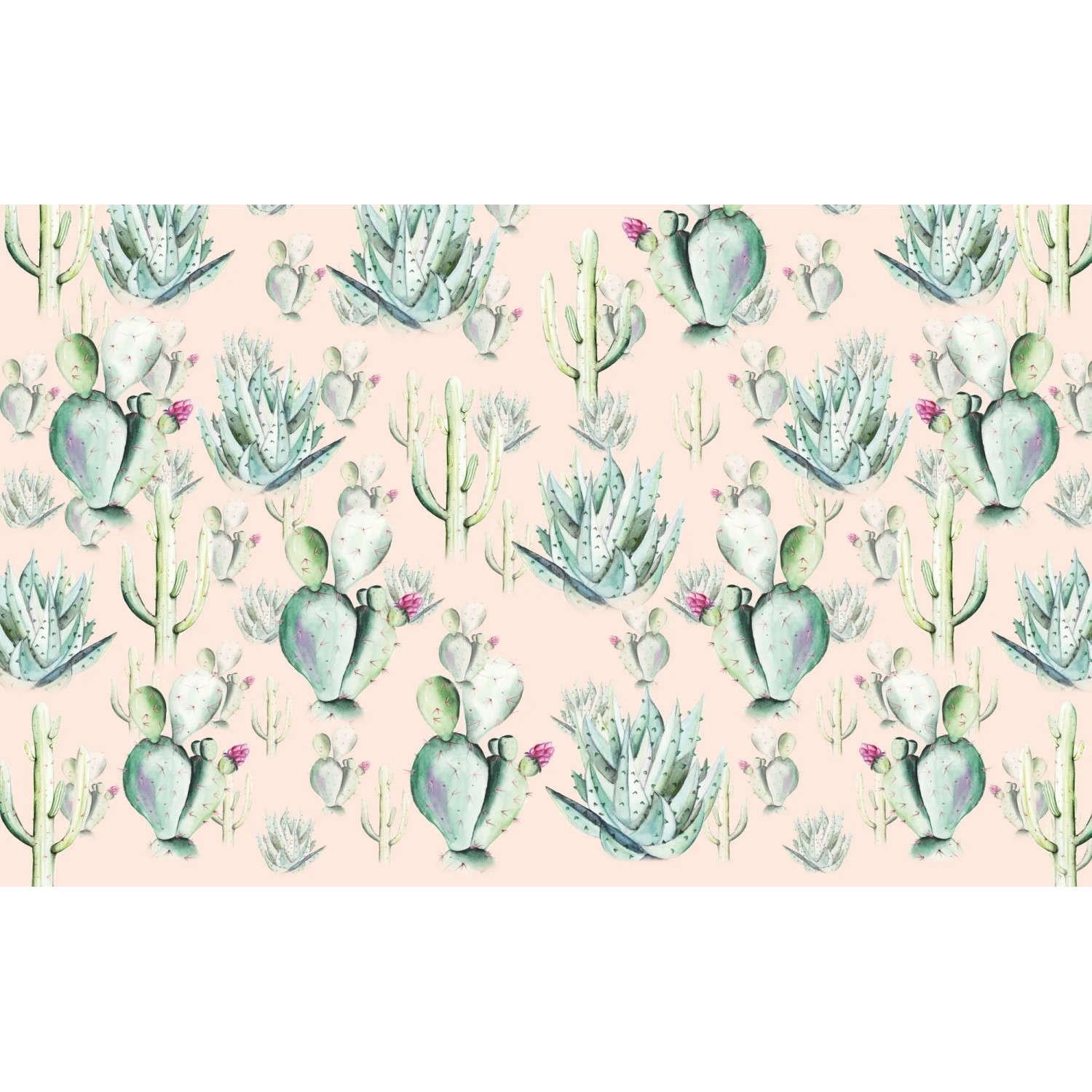 E-shop Komar Vliesová fototapeta Cactus Rose 400 x 250 cm