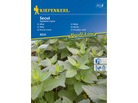 Kiepenkerl Semienka Mäta Seoul