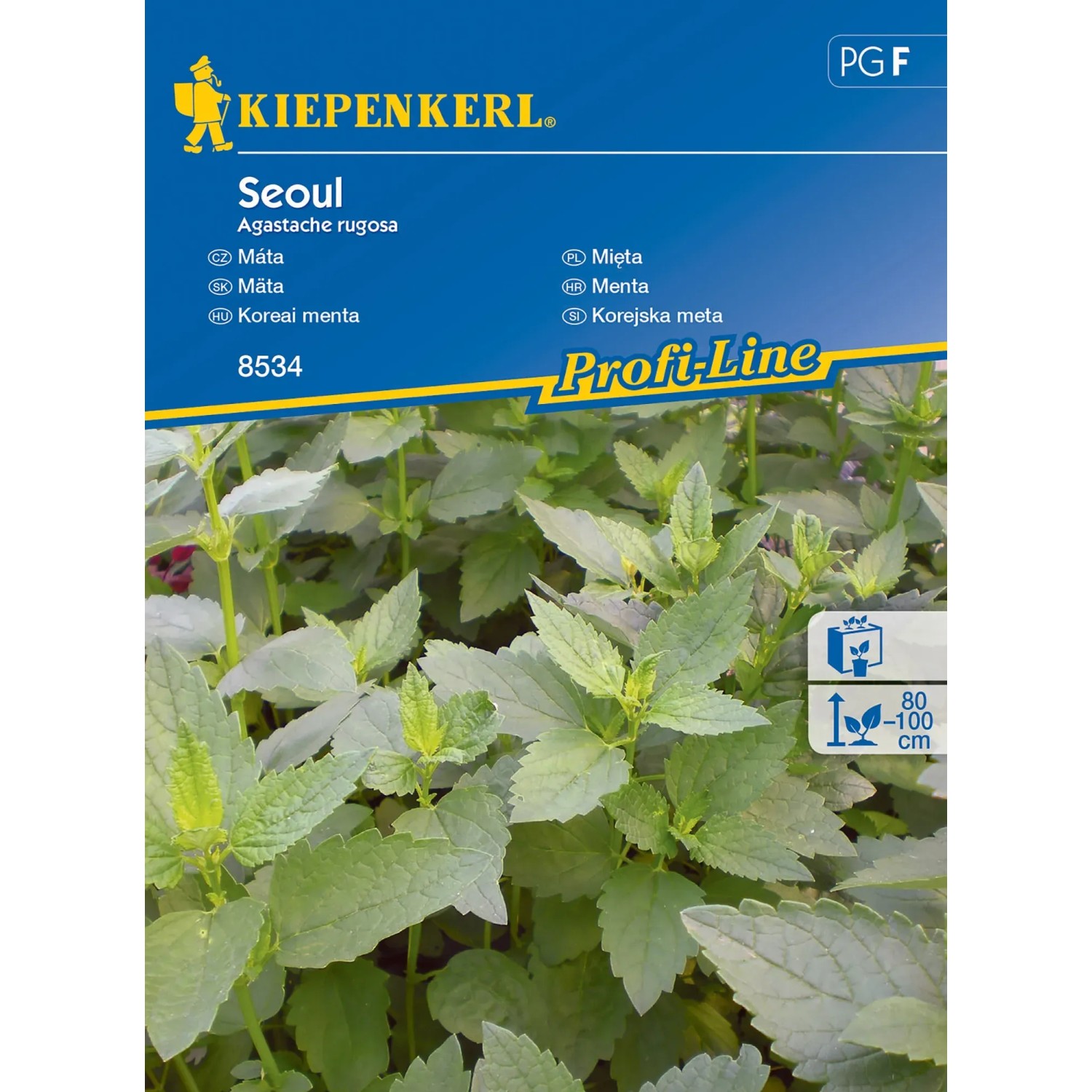 E-shop Kiepenkerl Semienka Mäta Seoul