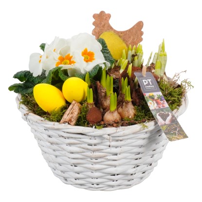 Jarný kvetinový aranžmán v bielom košíku, pr. kv. cca 24 cm