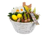 Jarný kvetinový aranžmán v bielom košíku, pr. kv. cca 24 cm