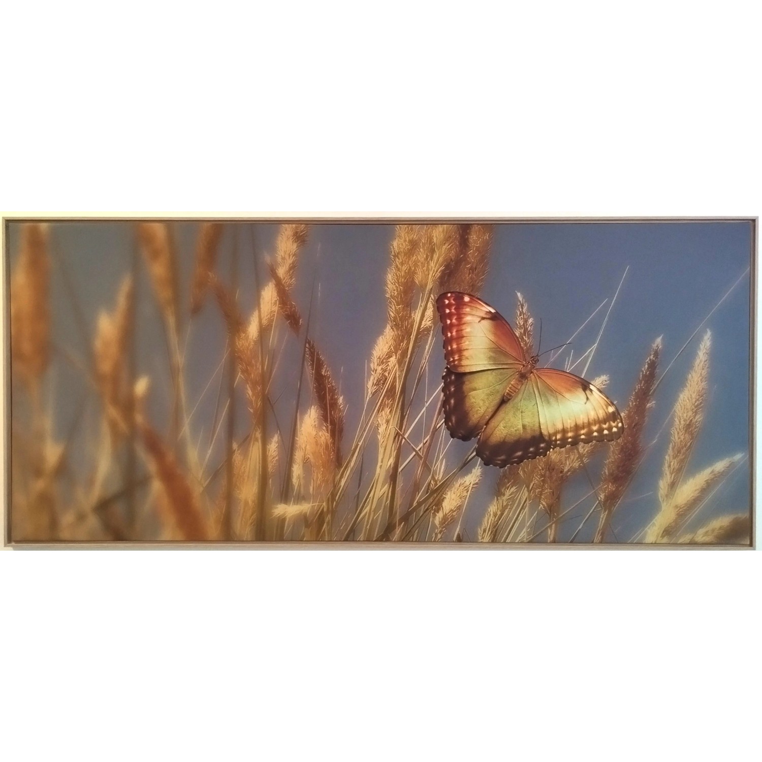 E-shop Bondecor Obraz, MDF rám, SHADOW Butterfly 59 x 134 cm