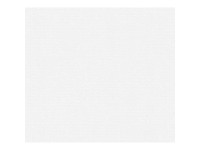 A. S. Creation Pretierateľná vliesová tapeta Meistervlies Creativ biela 306616