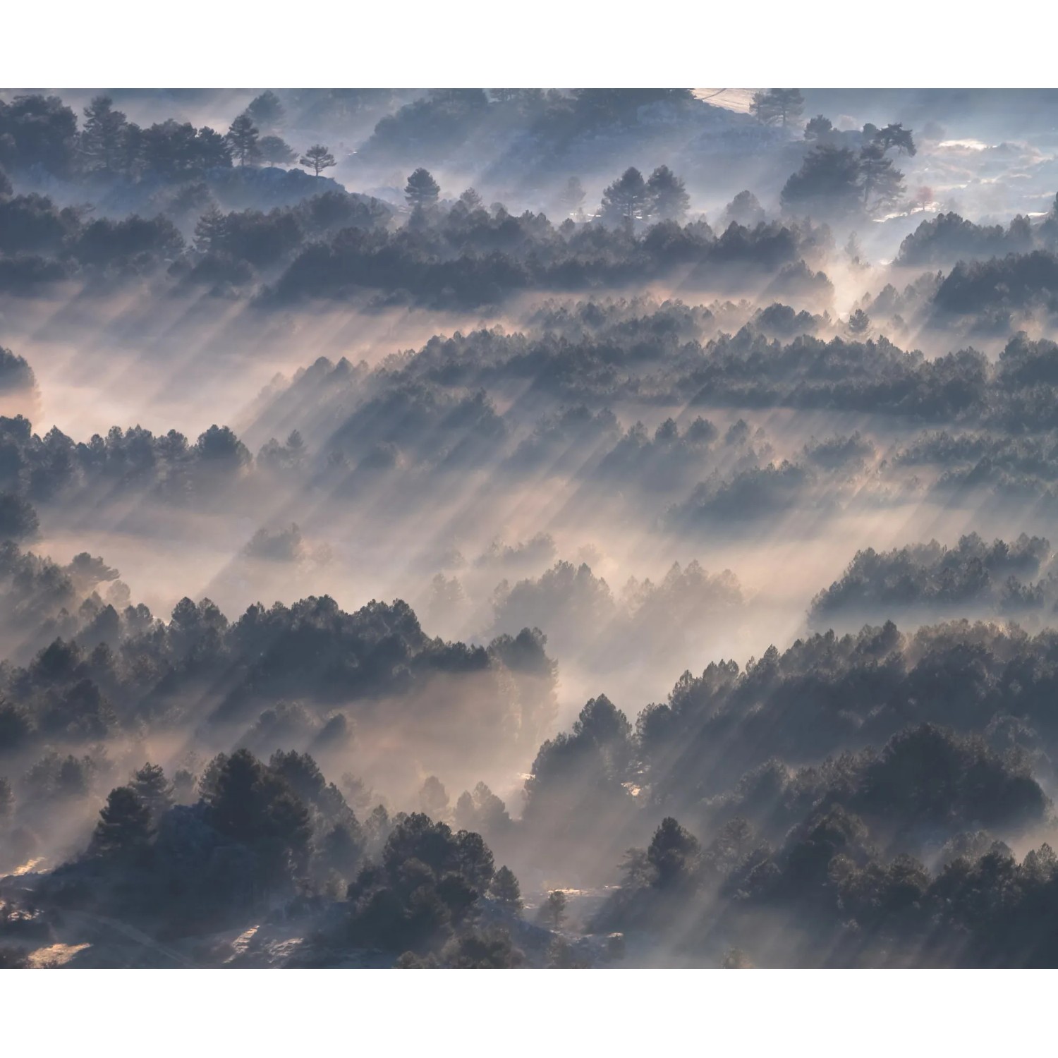 E-shop Komar Vliesová fototapeta Rays 300 x 250 cm