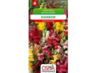 Aros Semienka Papuľka väčšia Rainbow (Antirrhinum majus)