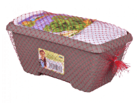 NOHEL GARDEN Truhlík MINIZAHRÁDKA - BAZALKA substrát + osivo, 22 cm