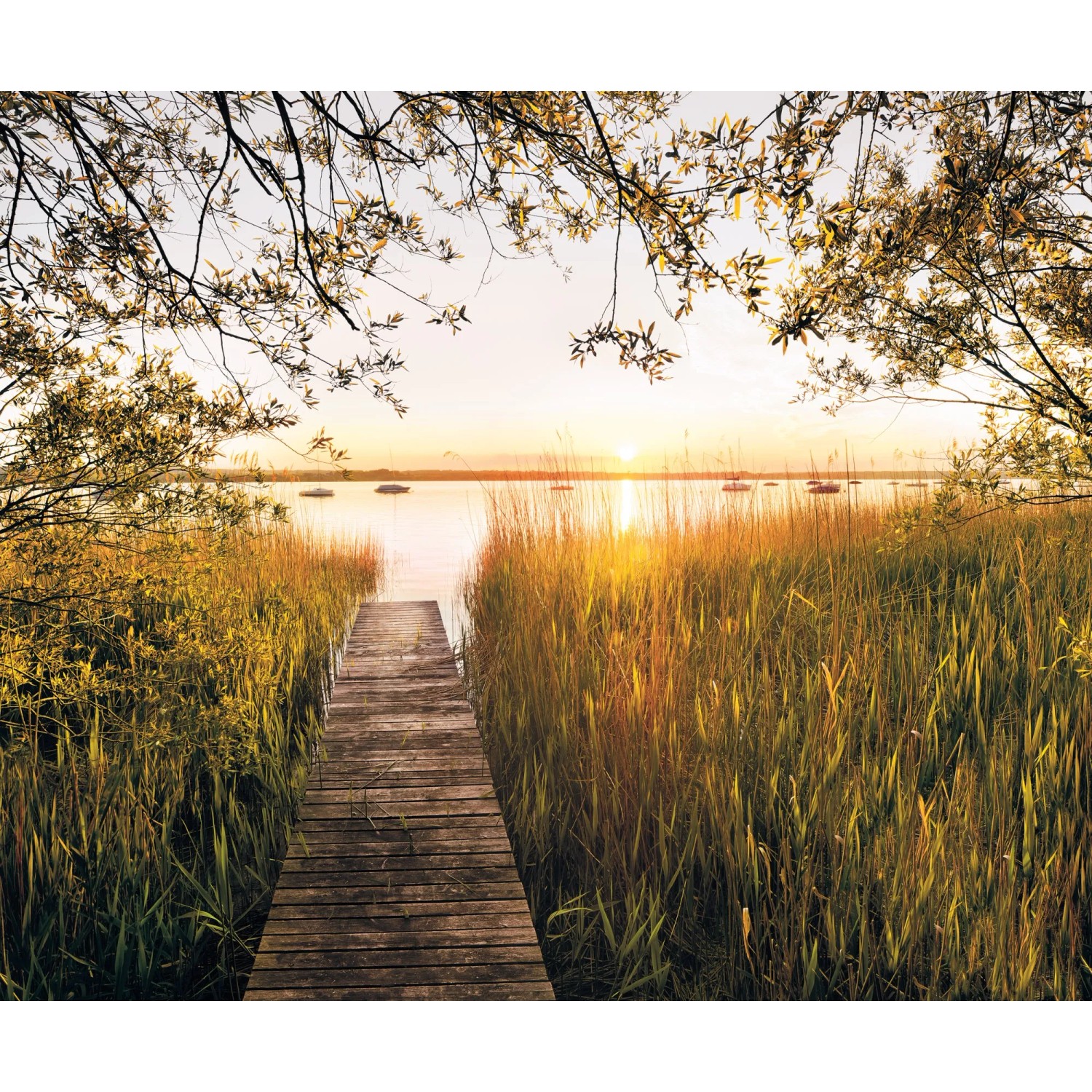 E-shop Komar Vliesová fototapeta Lakeside 300 x 250 cm