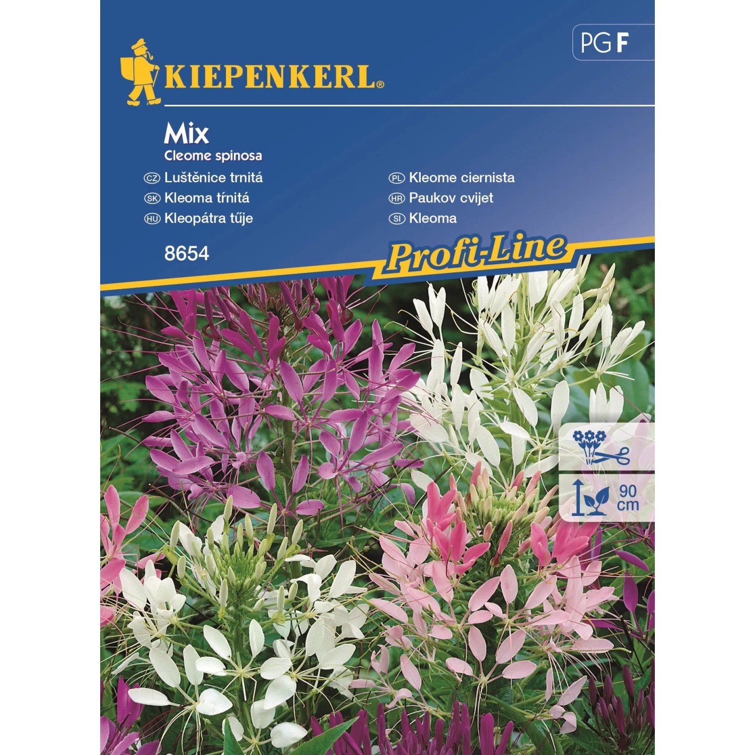 E-shop Kiepenkerl Kleoma tŕnitá Mix