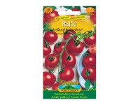 Gardenie Rajčiak kolíkový koktailový SPENCER