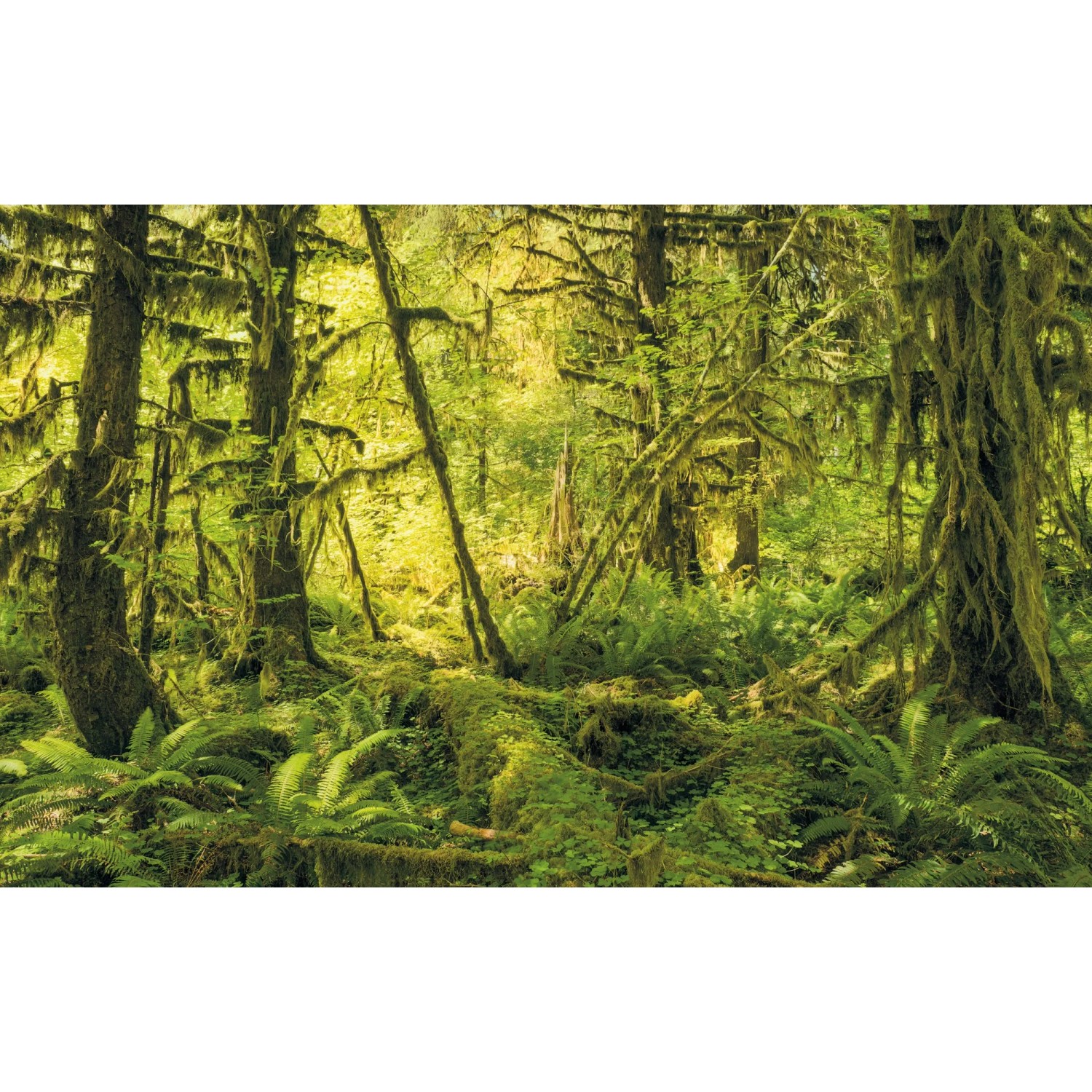 E-shop Komar Vliesová fototapeta Ancient World 400 x 250 cm