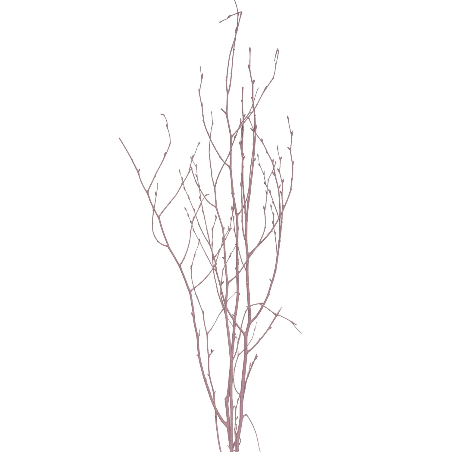 E-shop Star Home Decor Brezové vetvičky zväzok Betula pastelovo ružové 110 cm