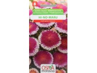 Semienka Astrovka čínska pomponkovitá Hi-No-Maru (Callistephus chinensis)