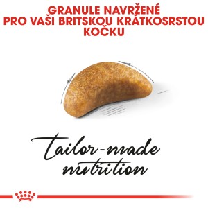 Granula suchého krmiva Royal Canin pre mačatá britskej krátkosrstej.