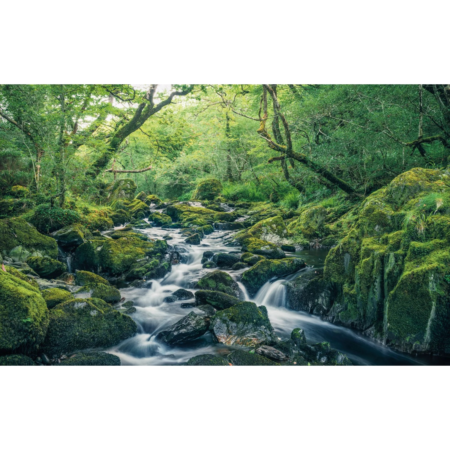E-shop Komar Vliesová fototapeta Green Tales 400 x 250 cm