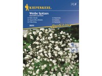 Kiepenkerl Gypsomilka úhľadná Weiße Spitzen