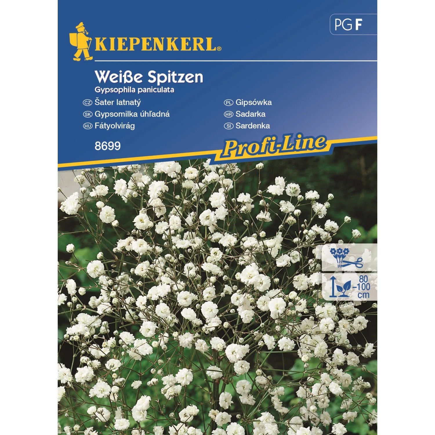 E-shop Kiepenkerl Gypsomilka úhľadná Weiße Spitzen