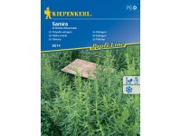KIEPENKERL Palina estragón (Artemisia dracunculus) Samira