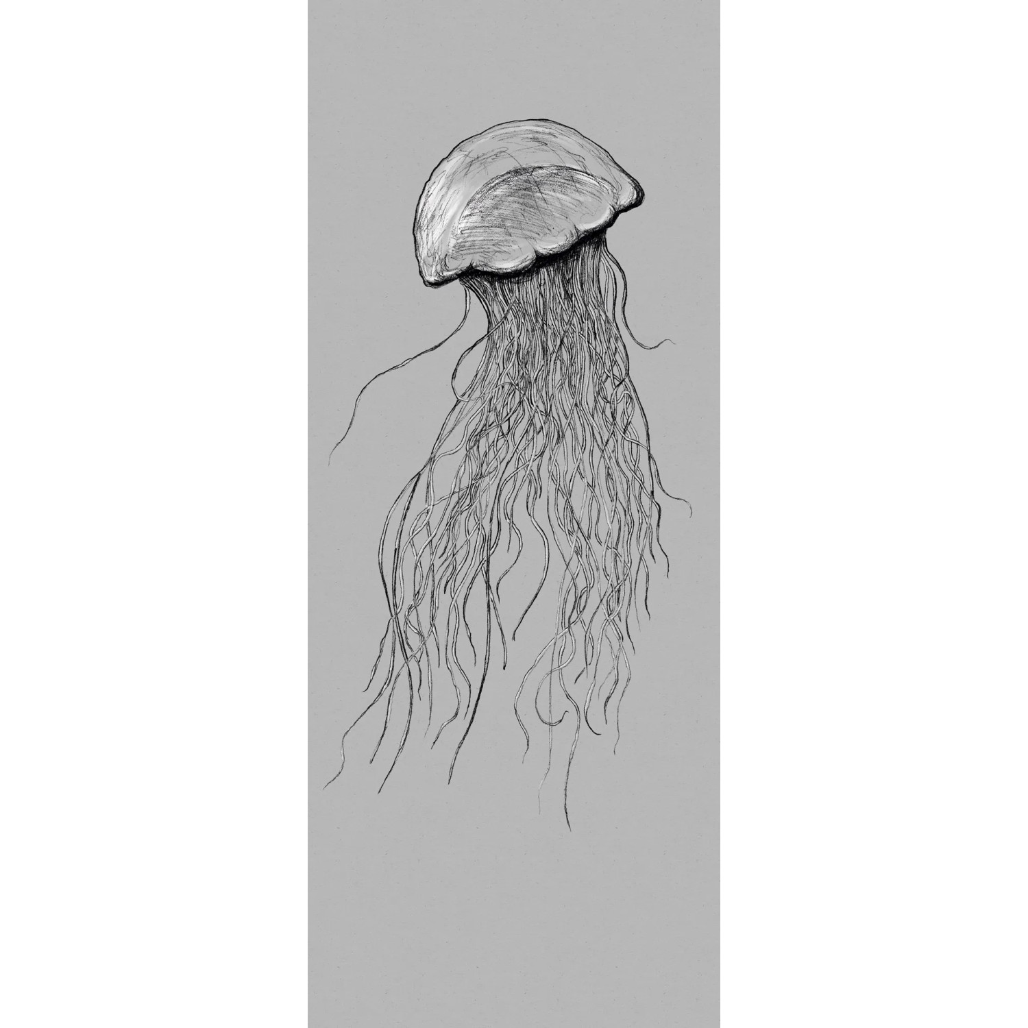 E-shop Komar Vliesová fototapeta Jellyfish 100 x 250 cm