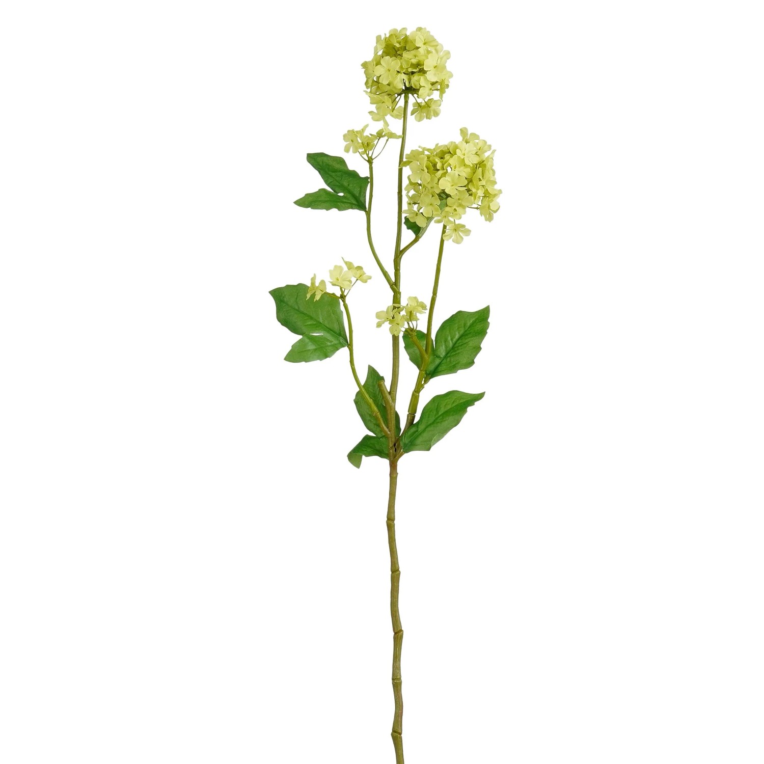 E-shop MICA Decorations Umelá rastlina Viburnum krémová 71,5 cm