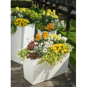 OBI Living Garden jarná zmes v kvetináči so žltými, bielymi a oranžovými kvetmi.