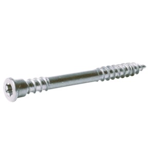 Detail striebornej terasovej skrutky s pohonom Torx.