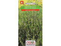 Osiva Moravia Semienka Vrbovka malokvetá (Chamaenerion palustre)