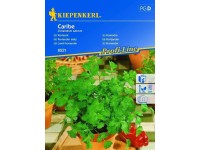 Kiepenkerl Semená Koriander Caribe