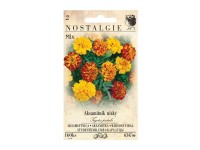 Nostalgie Aksamietnica rozložitá plnokvetá, zmes Nostalgie Aksamietnica rozložitá plnokvetá, zmes