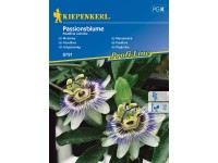 Kiepenkerl Semienka Passiflora