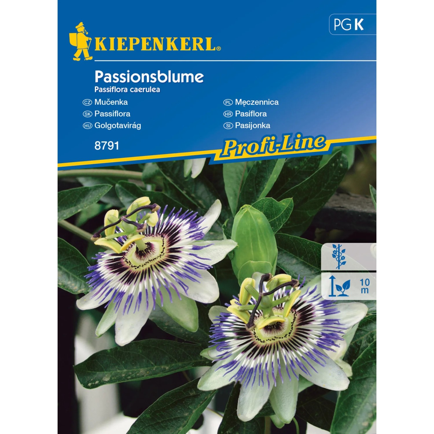 E-shop Kiepenkerl Semienka Passiflora