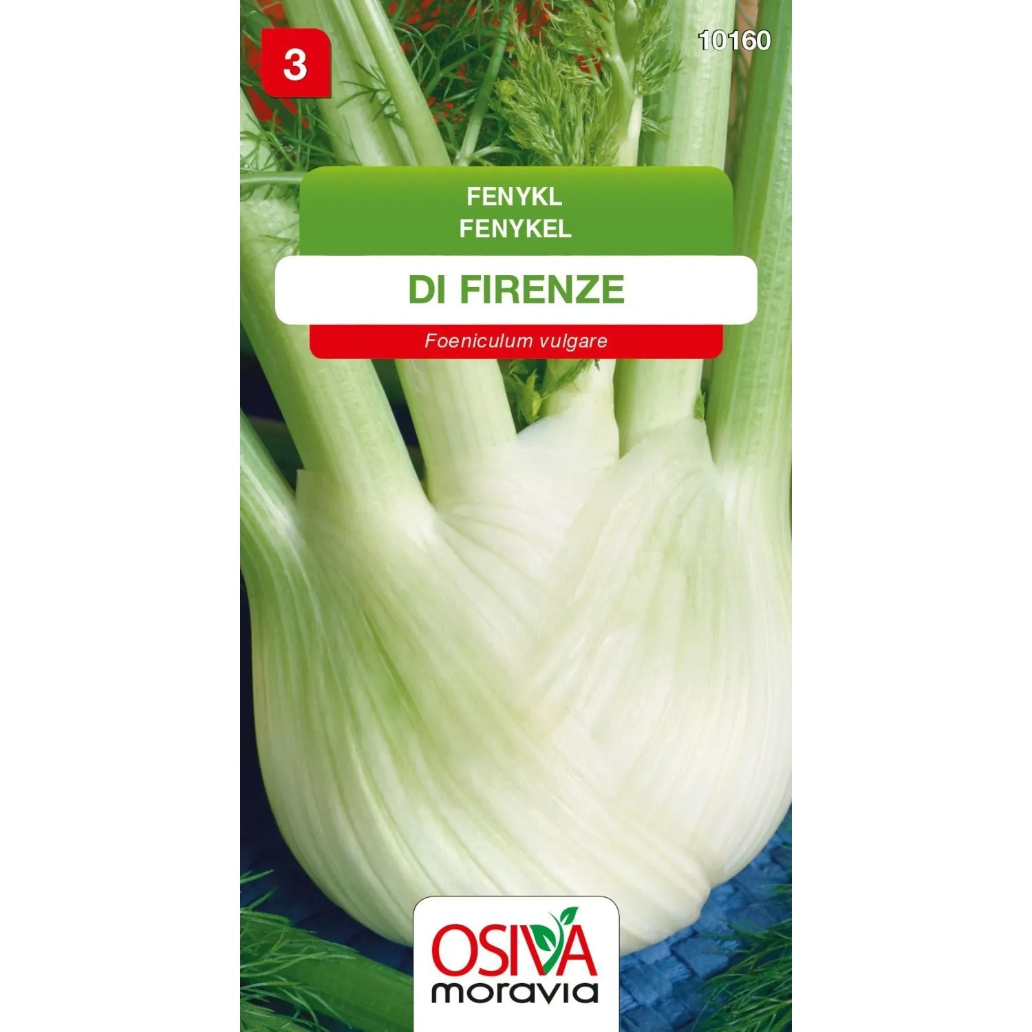 E-shop Osiva Moravia Semienka Fenykel Di Firenze (Foeniculum vulgare)