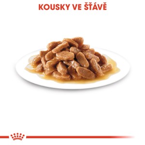 Royal Canin Mini Puppy mokré krmivo: Kúsky mäsa v šťave pre malé šteniatka.